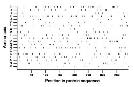 amino acid map