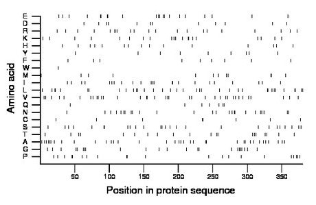 amino acid map