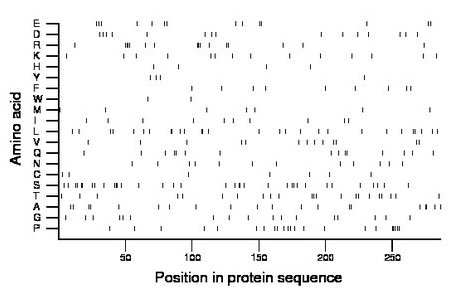 amino acid map