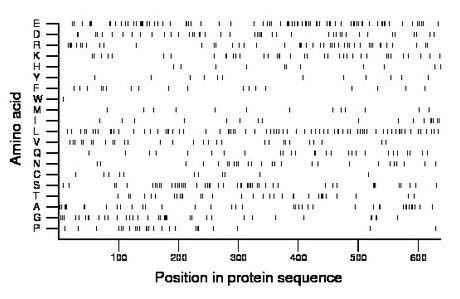 amino acid map