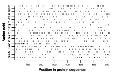 amino acid map