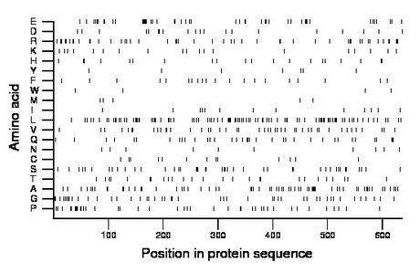 amino acid map