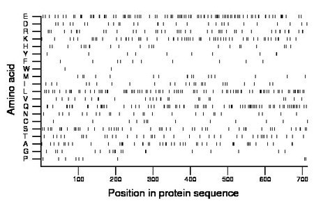 amino acid map