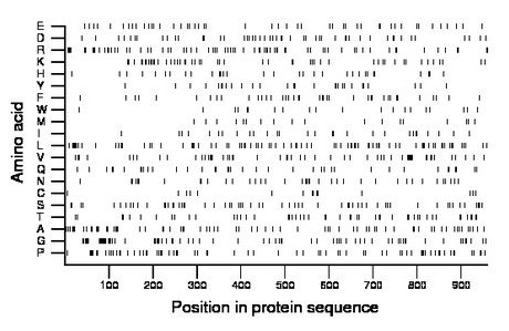 amino acid map