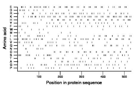 amino acid map