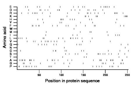 amino acid map