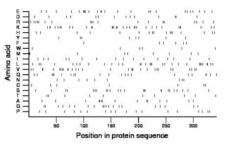 amino acid map