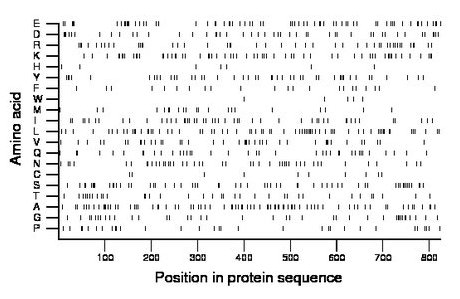 amino acid map