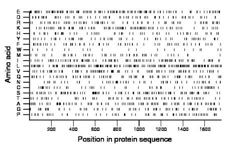 amino acid map