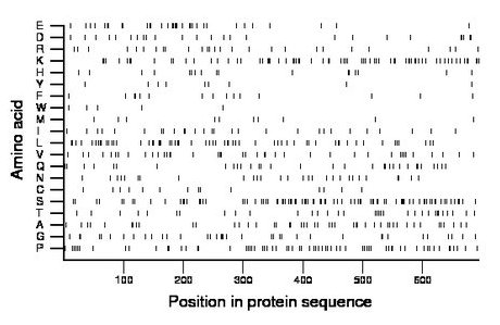 amino acid map