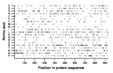 amino acid map