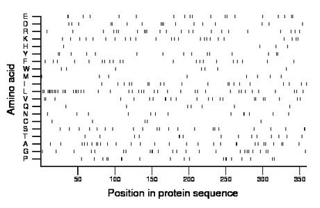 amino acid map