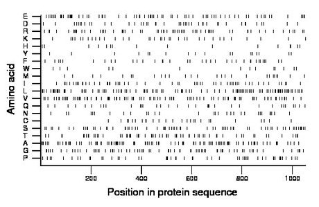 amino acid map