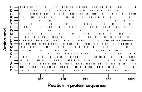 amino acid map