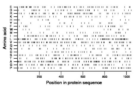 amino acid map