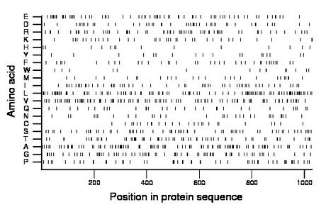 amino acid map