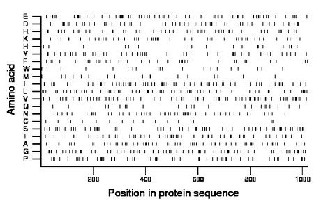 amino acid map