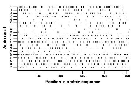 amino acid map