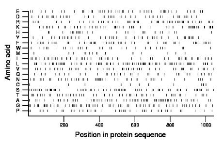 amino acid map