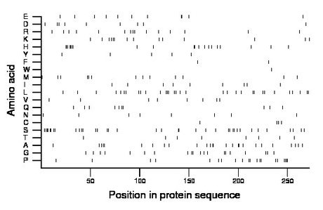 amino acid map