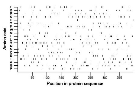 amino acid map