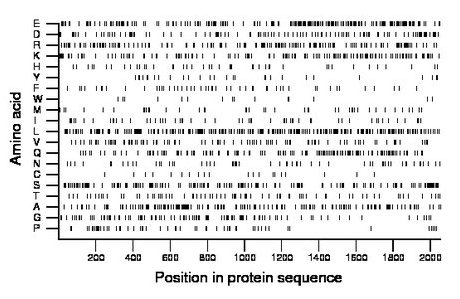 amino acid map