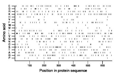 amino acid map