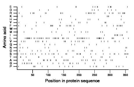 amino acid map