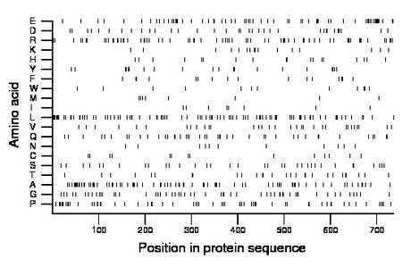 amino acid map