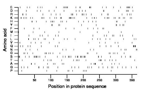 amino acid map