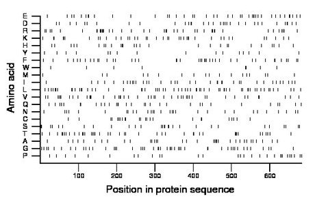 amino acid map