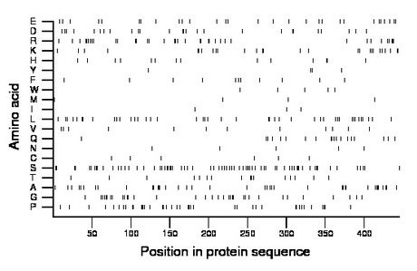 amino acid map