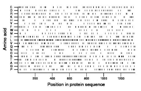 amino acid map