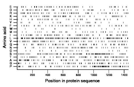 amino acid map