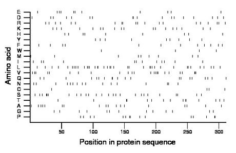 amino acid map