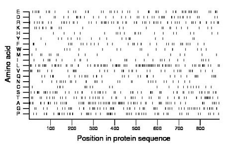 amino acid map