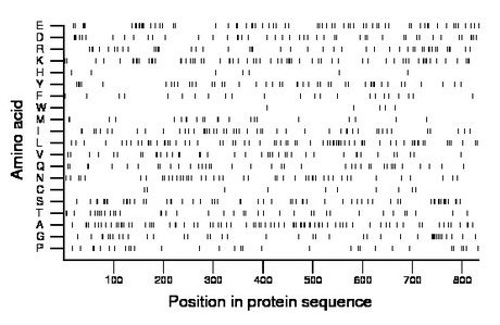 amino acid map