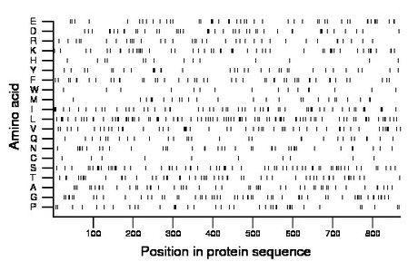 amino acid map