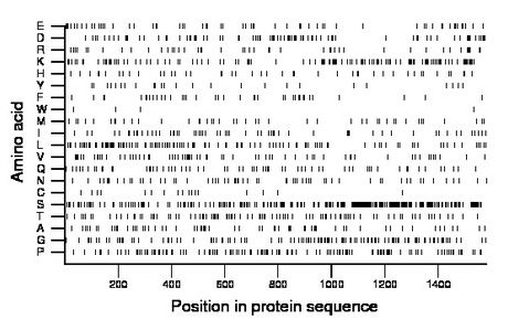 amino acid map