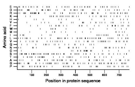 amino acid map