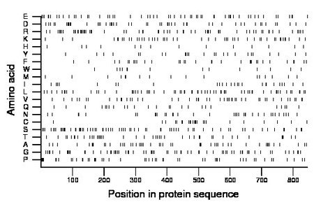 amino acid map