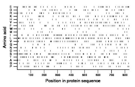 amino acid map