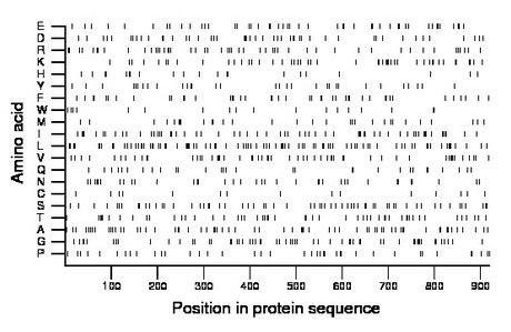 amino acid map