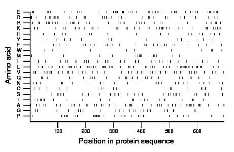 amino acid map