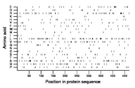 amino acid map