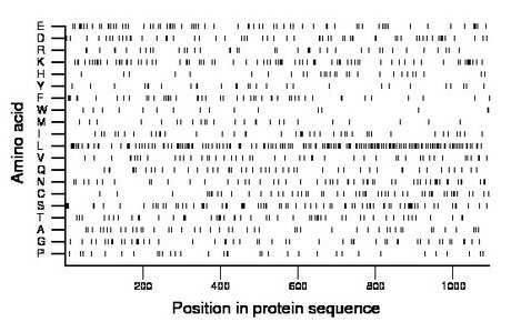 amino acid map