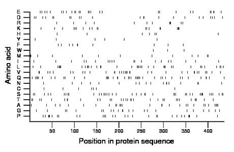 amino acid map