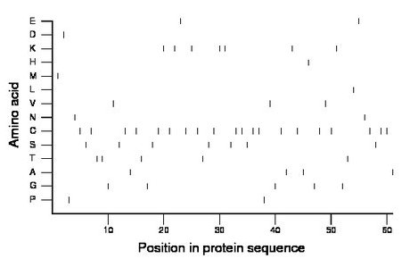 amino acid map