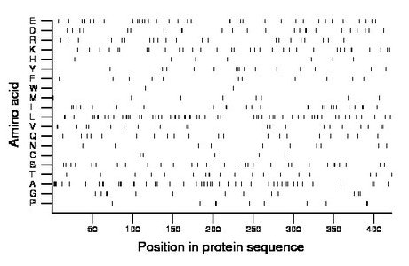 amino acid map