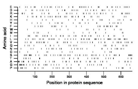 amino acid map